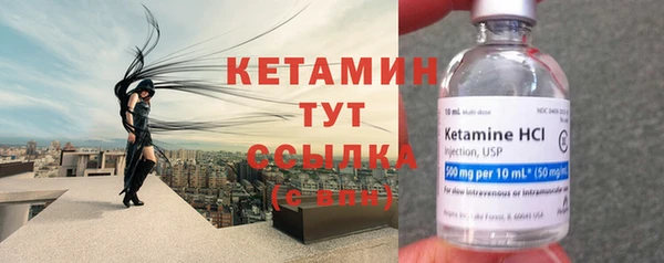 сатива Вяземский