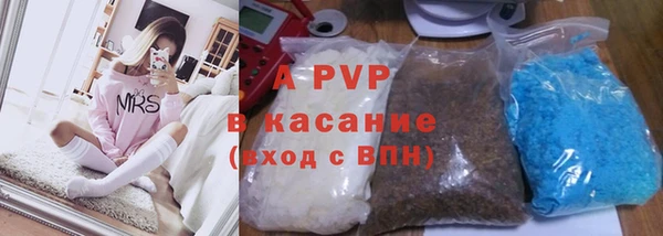 сатива Вяземский