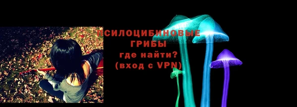 сатива Вяземский