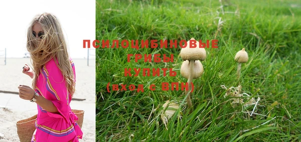 дурь Вязники