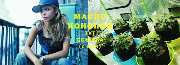 сатива Вяземский