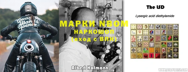 сатива Вяземский