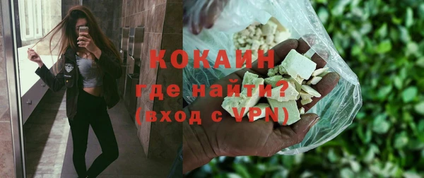 сатива Вяземский